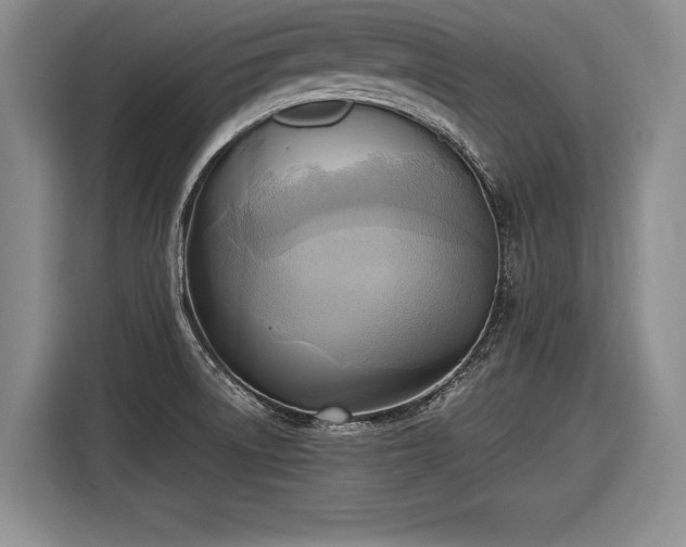 X0000116461522200912161222
