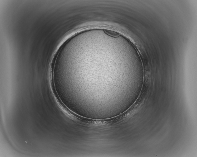 X0000116461523200912161222