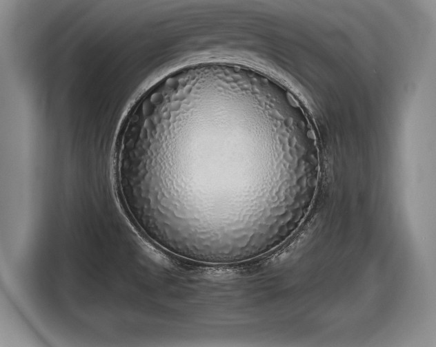 X0000116461525200912161222