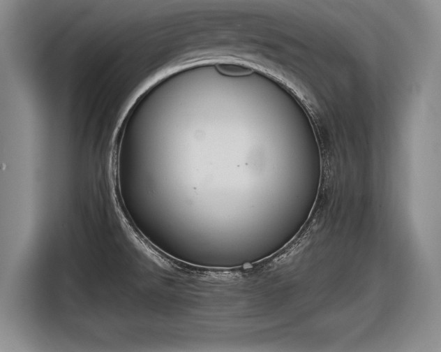 X0000116461526200912161222