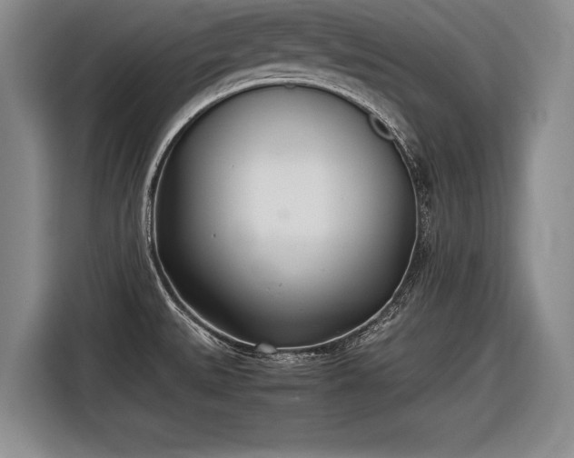 X0000116461527200912161222