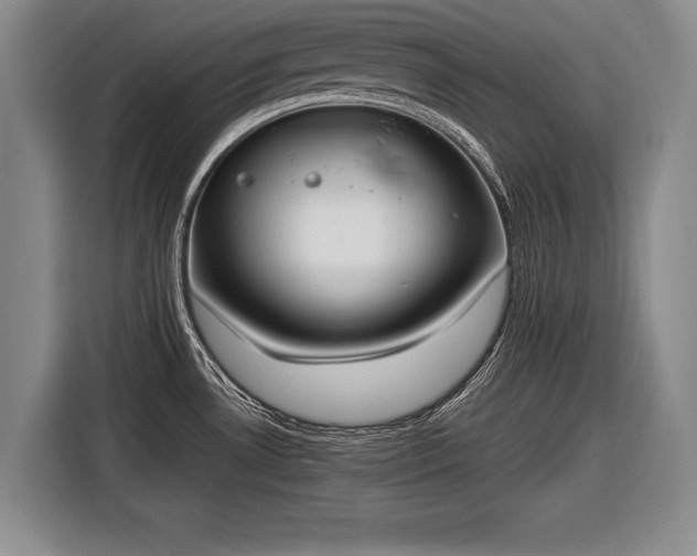 X0000116461530200912161222