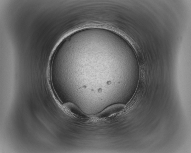 X0000116461531200912161222
