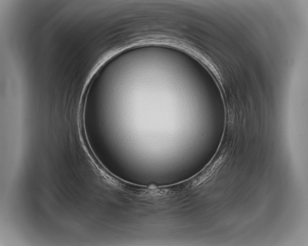 X0000116461533200912161222