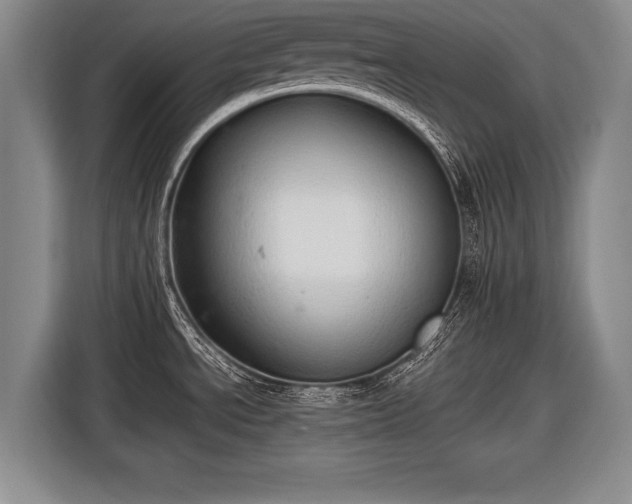 X0000116461534200912161222