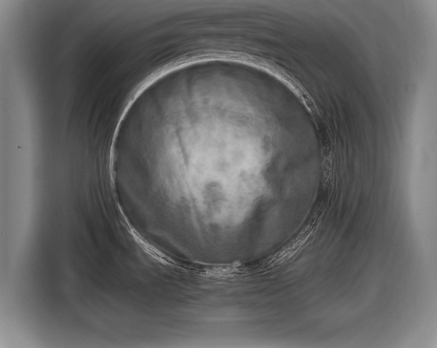 X0000116461535200912161222