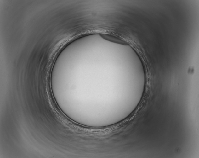 X0000116460001200912231411