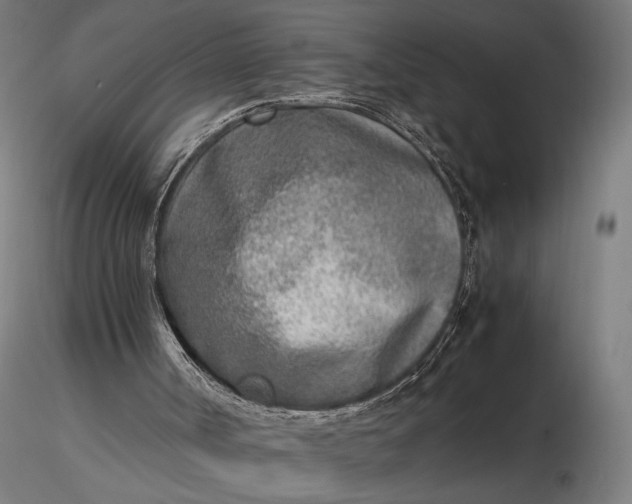 X0000116460002200912231411