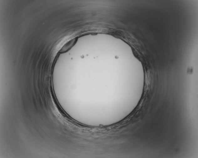 X0000116460003200912231411