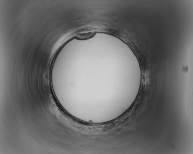 X0000116460004200912231411