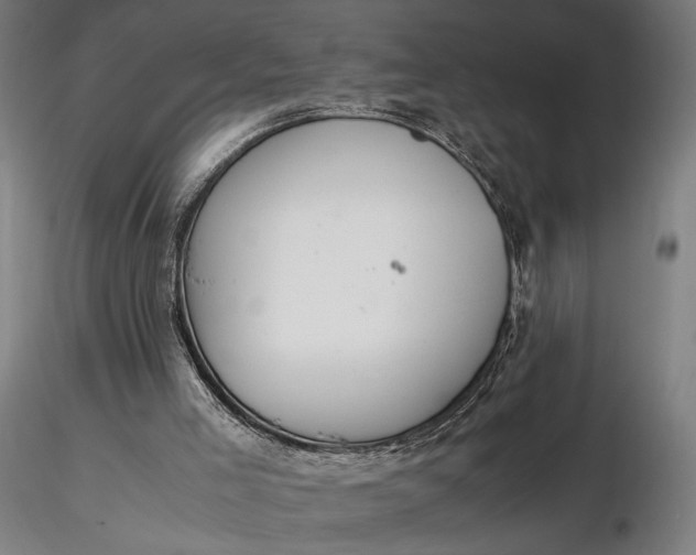 X0000116460005200912231411