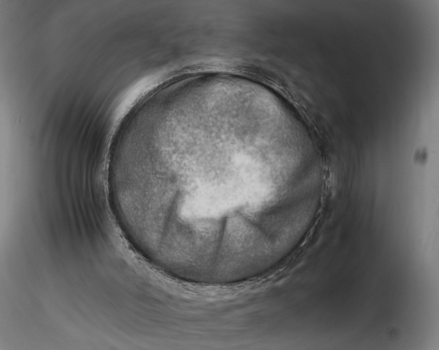 X0000116460006200912231411