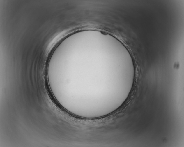 X0000116460007200912231411