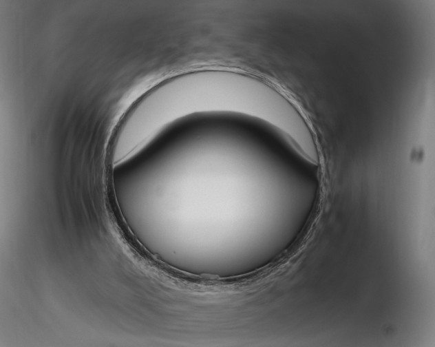 X0000116460008200912231411