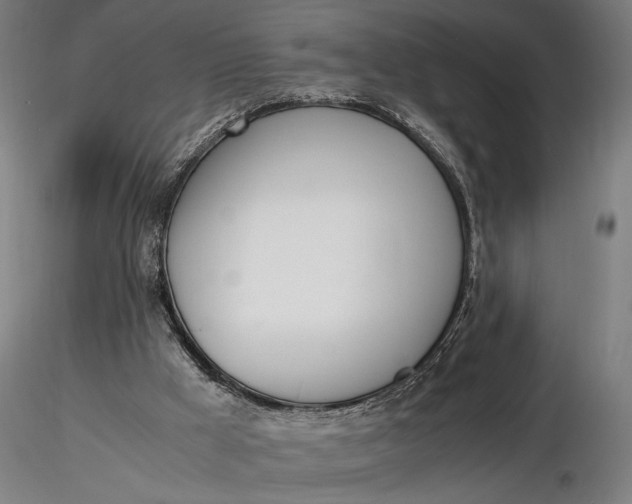 X0000116460009200912231411