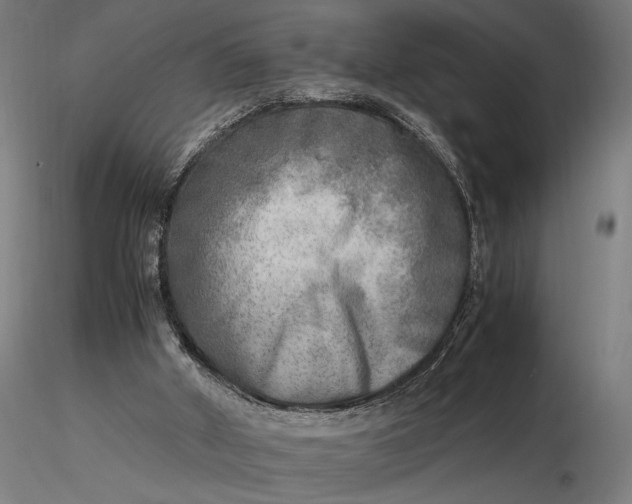 X0000116460010200912231411