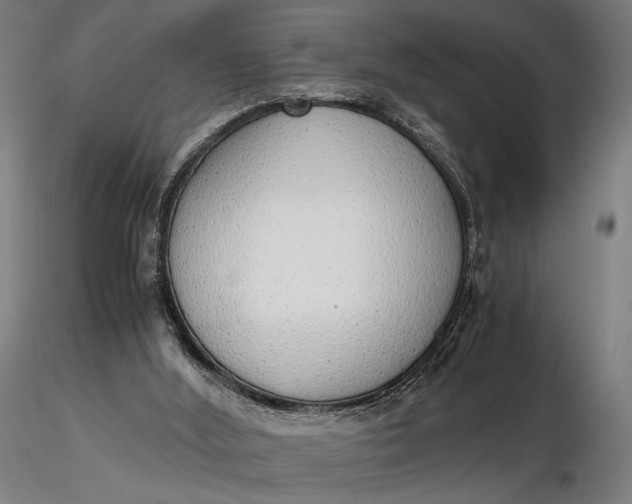 X0000116460012200912231411