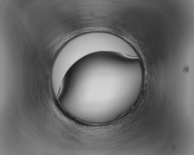 X0000116460013200912231411