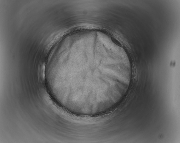 X0000116460014200912231411