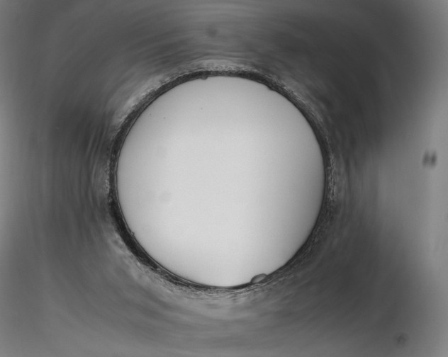 X0000116460015200912231411