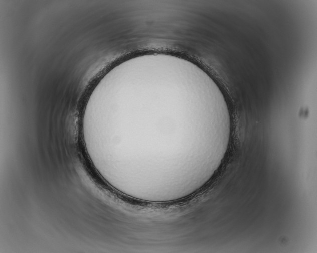 X0000116460016200912231411