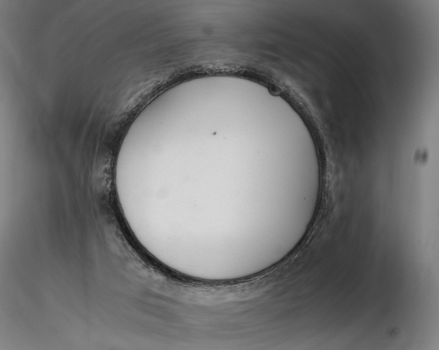 X0000116460017200912231411