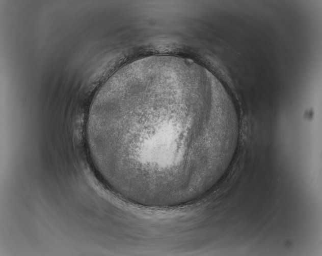 X0000116460018200912231411