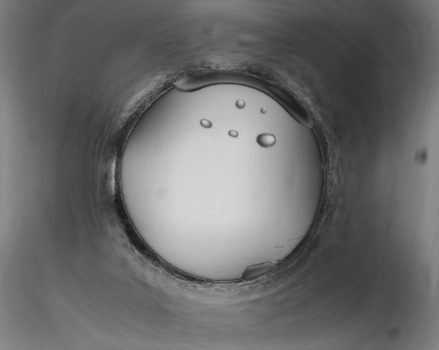 X0000116460019200912231411