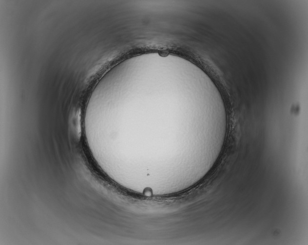 X0000116460020200912231411