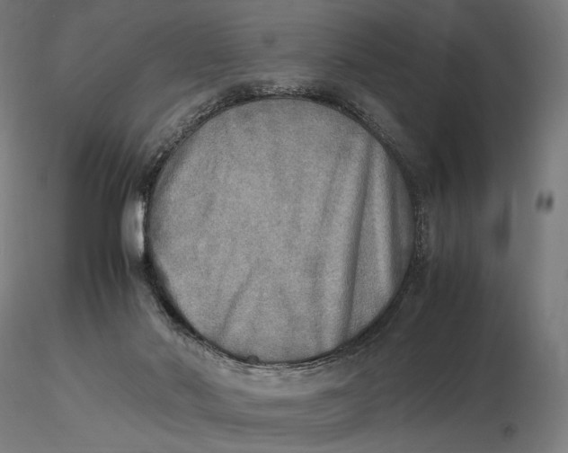 X0000116460022200912231411