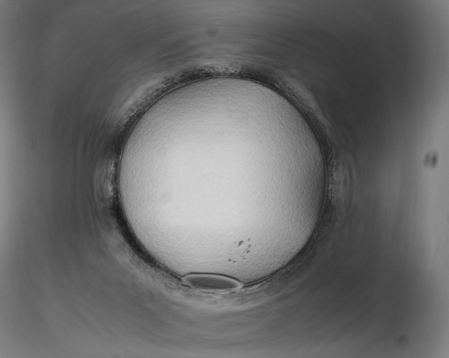 X0000116460023200912231410