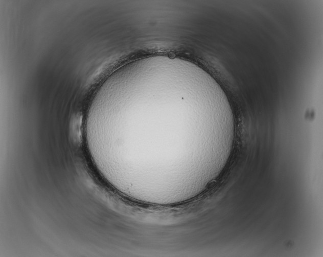 X0000116460024200912231410