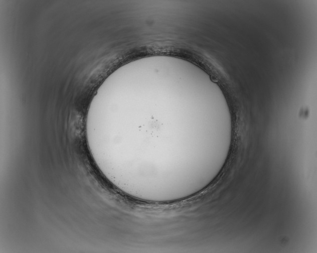 X0000116460025200912231410