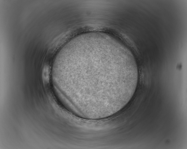 X0000116460026200912231410