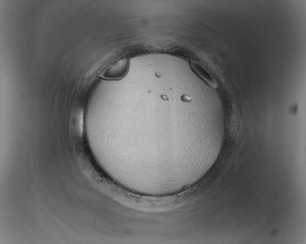 X0000116460027200912231410