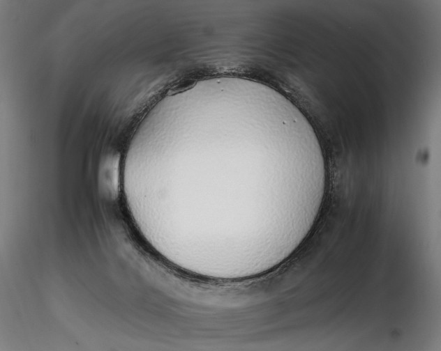 X0000116460028200912231410