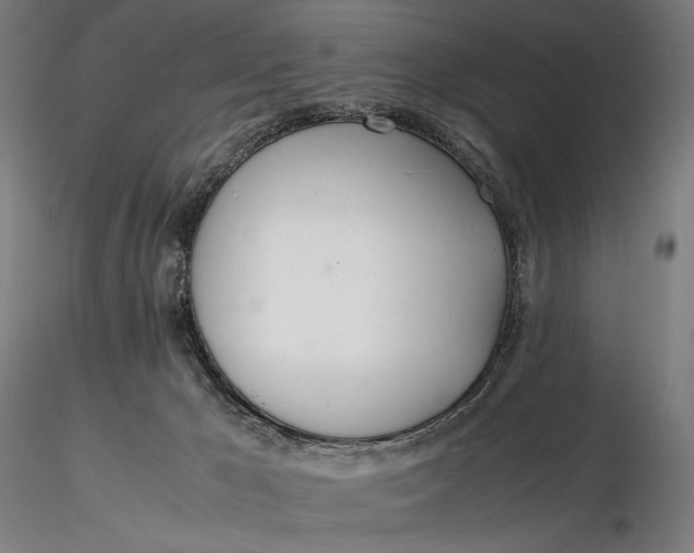 X0000116460029200912231410