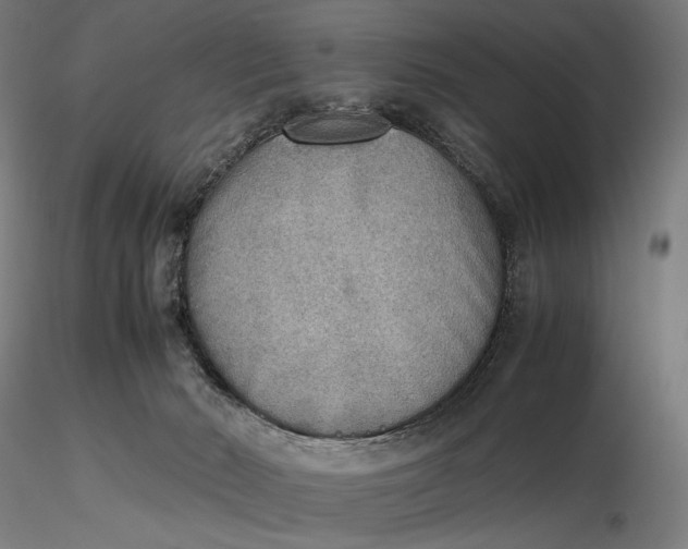 X0000116460030200912231410