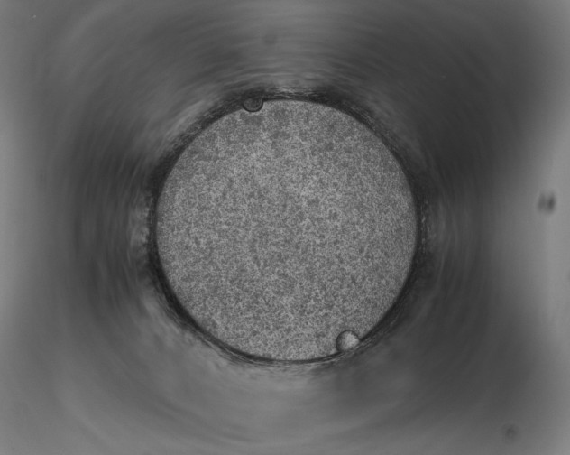 X0000116460032200912231410