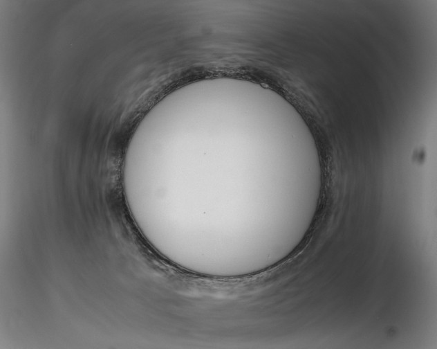 X0000116460033200912231410