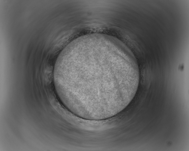 X0000116460034200912231410