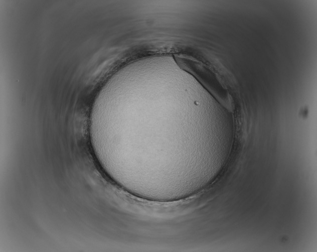 X0000116460035200912231410