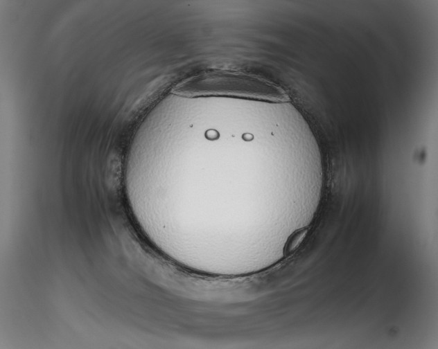 X0000116460036200912231410