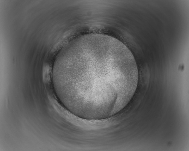 X0000116460038200912231410