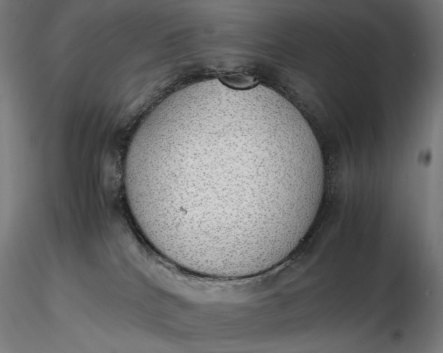 X0000116460040200912231410