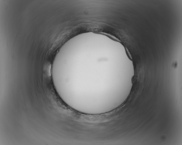 X0000116460041200912231410