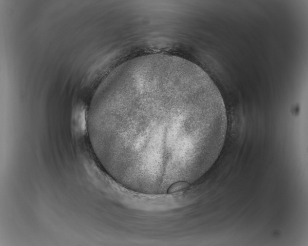 X0000116460042200912231410