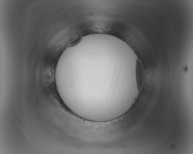 X0000116460043200912231410