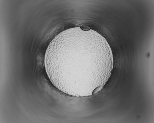 X0000116460044200912231410