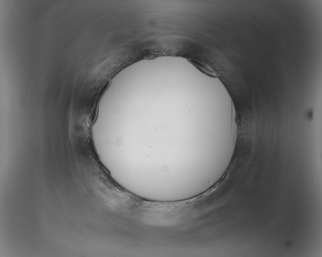 X0000116460045200912231410